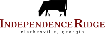 Independence Ridge Logo